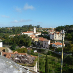 P1080048-w740_h555